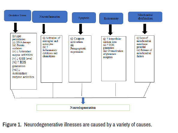 Natural Bioactive Molecules as Neuromedicines for the Treatment/Prevention  of Neurodegenerative Diseases